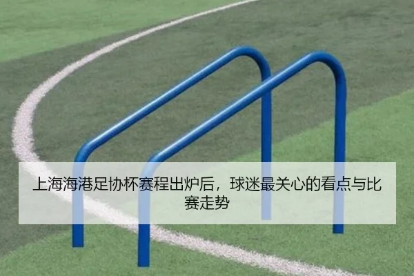 上海海港足协杯赛程出炉后，球迷最关心的看点与比赛走势